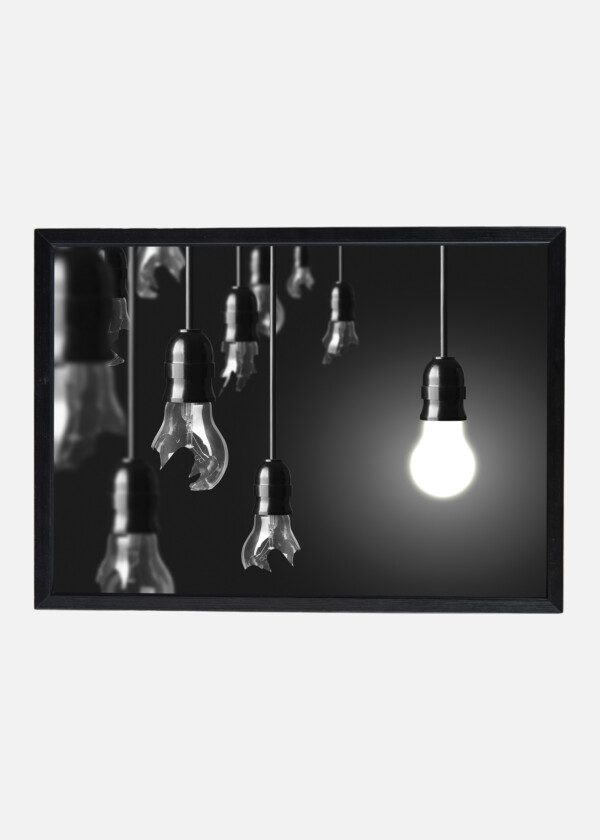 LIGHT BULBS