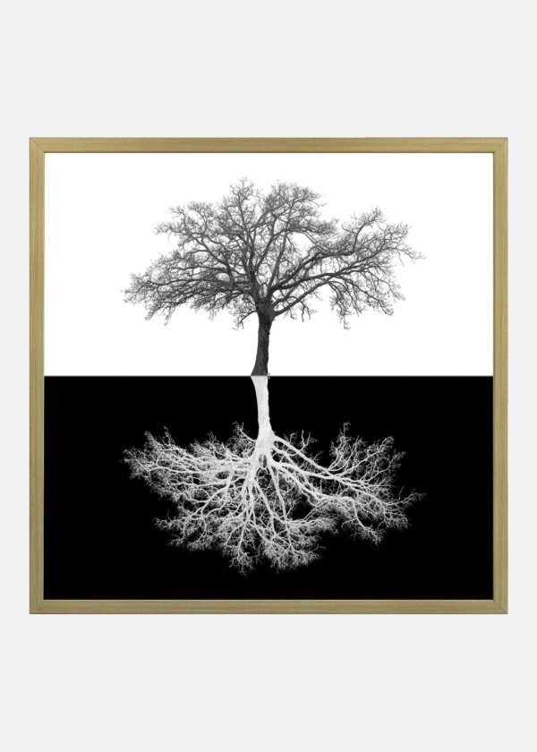 PHOTO ART. TREE