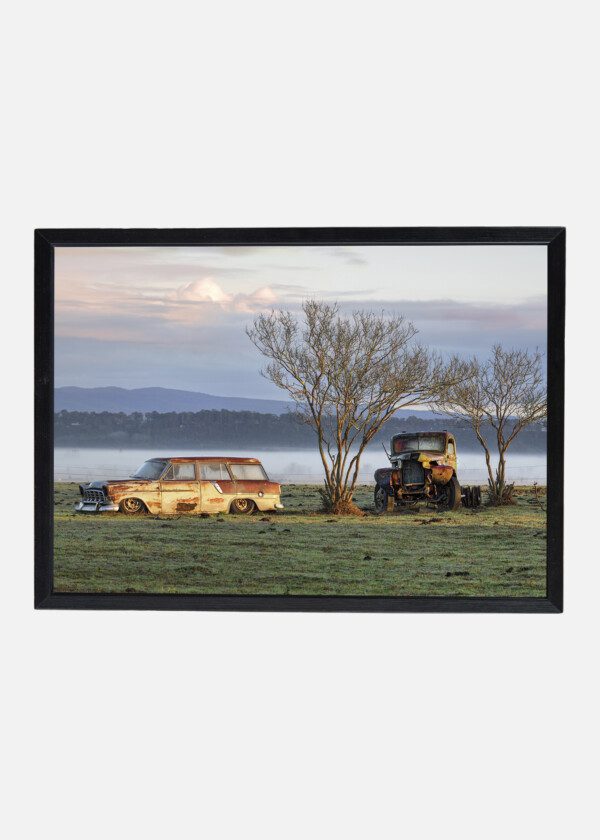 RUSTY CARS IN NATURE