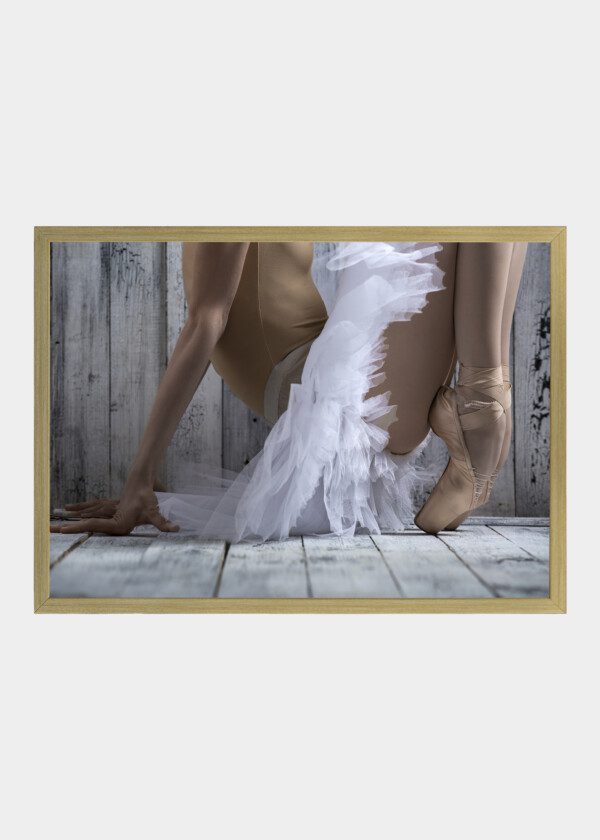 DANCER
