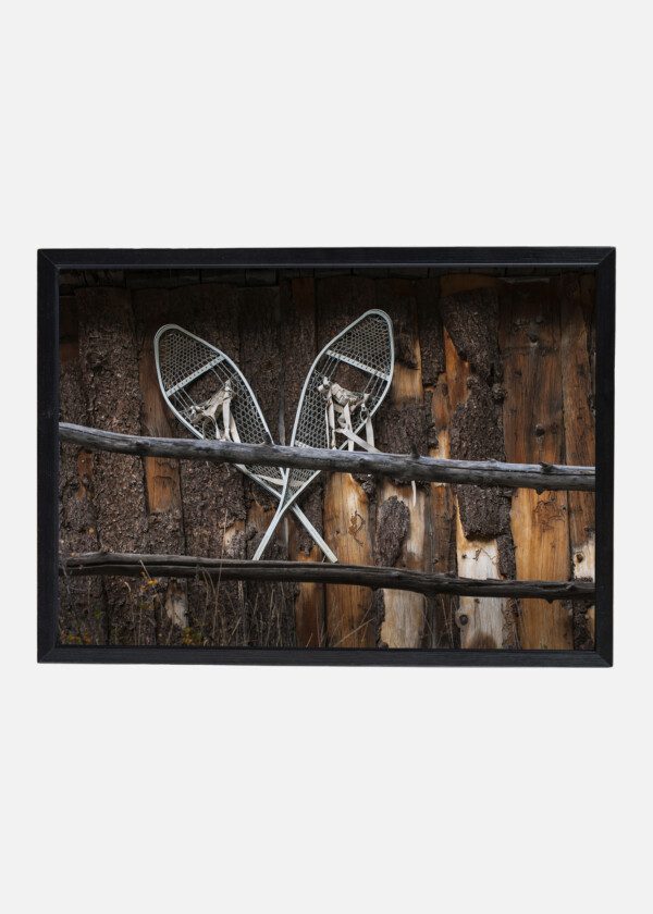 SNOWSHOES