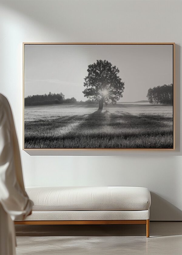 TREES IN BACKLIGHT