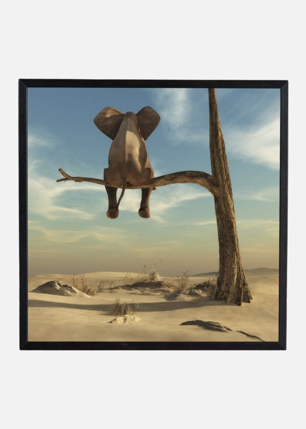 ELEPHANT IN THE TREE