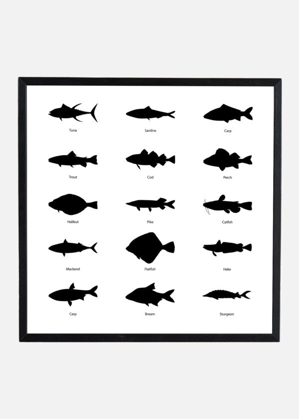 FISH