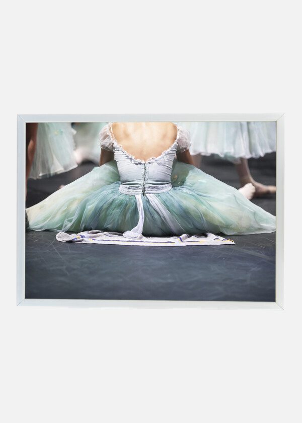 THE BACK OF A BALLET DANCER
