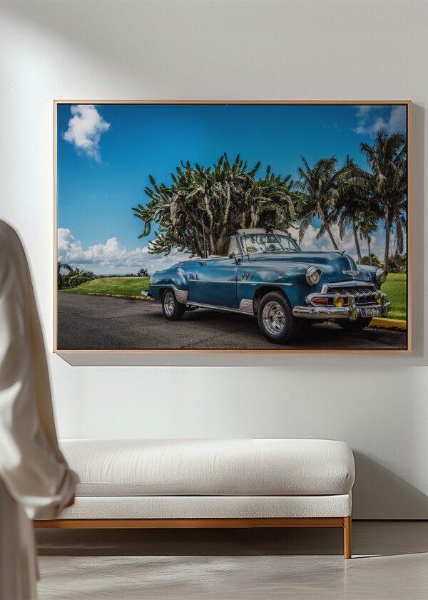 CHEVROLET WITH PALMS AND CACTUS