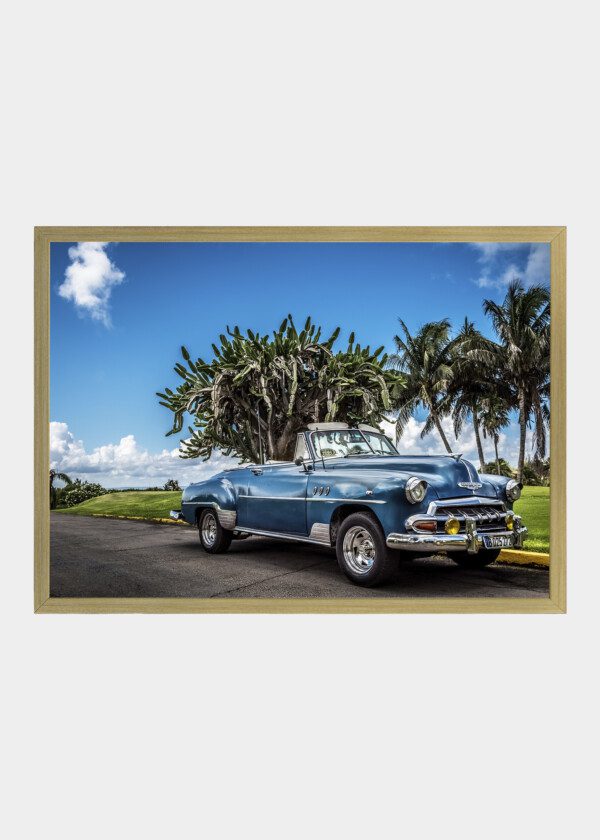 CHEVROLET WITH PALMS AND CACTUS