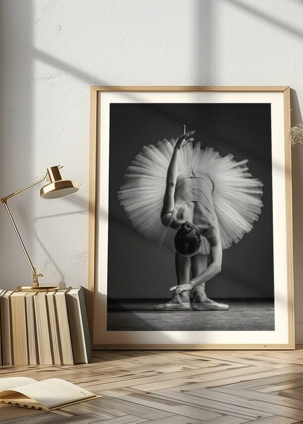 BALLET DANCER