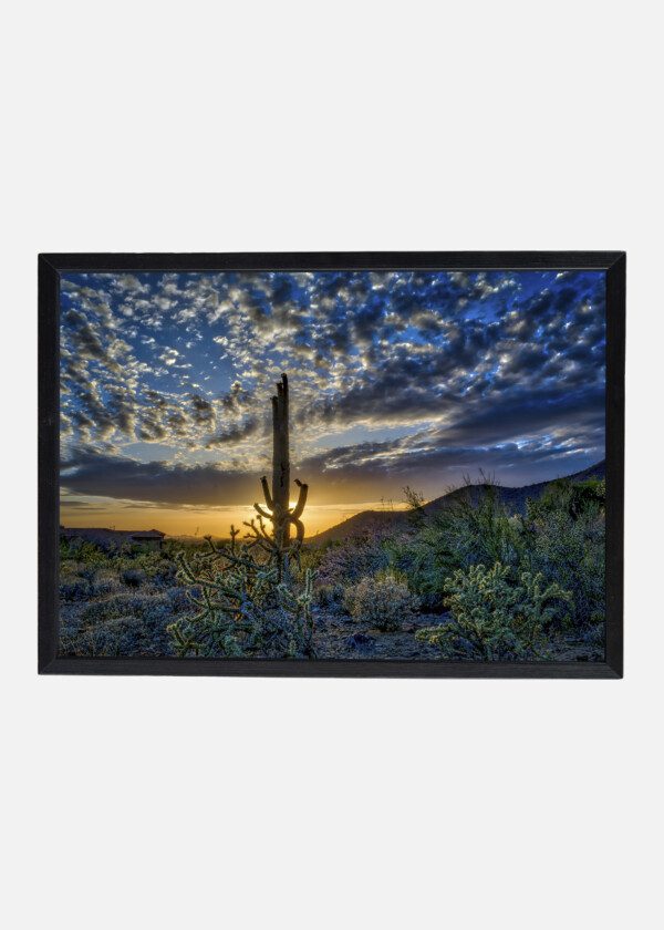 CACTUS AND CLOUDS