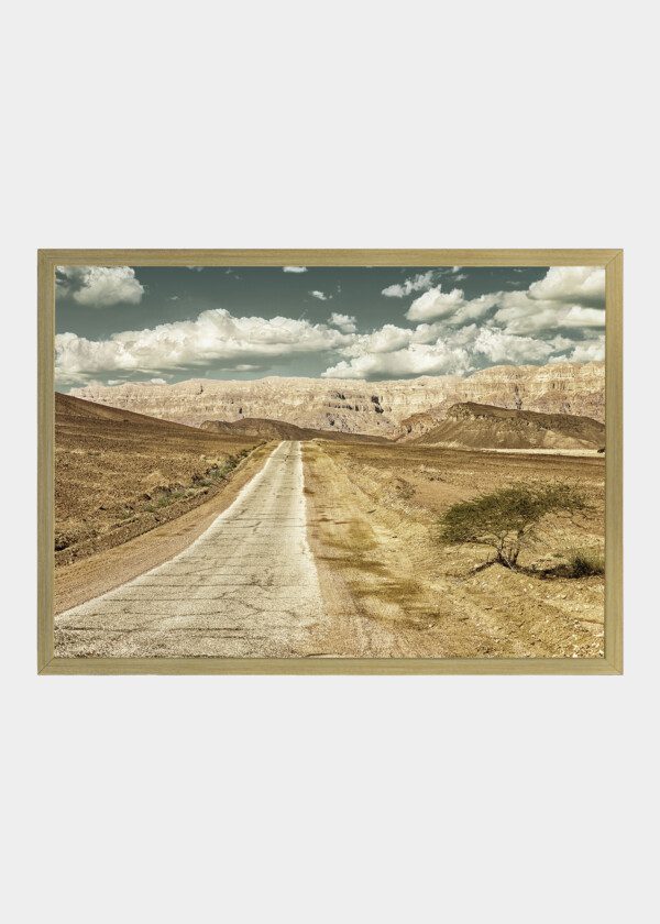 COUNTRY ROAD THROUGH THE DESERT