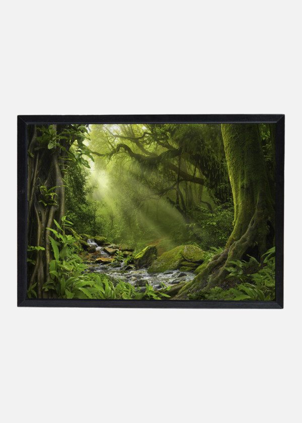 SUNBEAMS THROUGH GREEN FOLIAGE