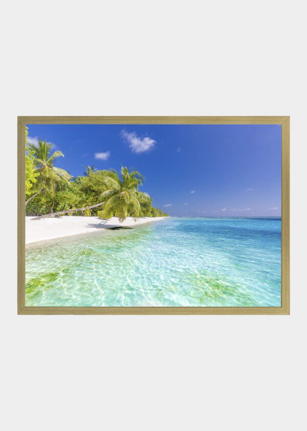 PALM-CLAD SANDY BEACH