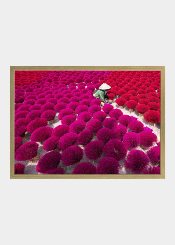 RED BUNDLES OF RICE
