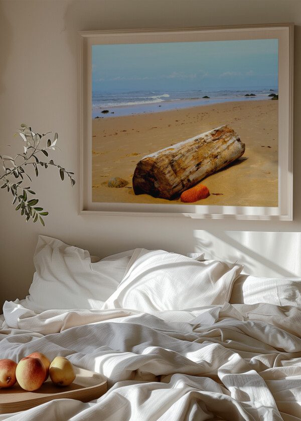 DRIFTWOOD ON THE BEACH