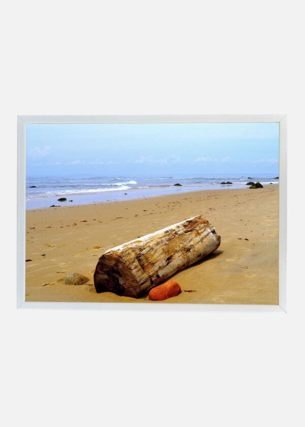 DRIFTWOOD ON THE BEACH