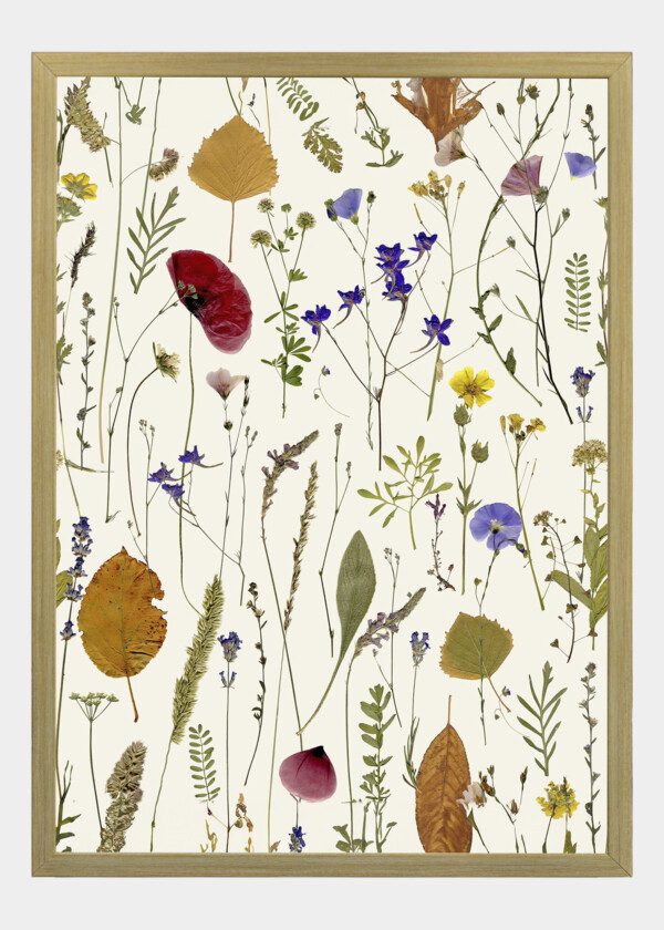 SEAMLESS TEXTURE WITH DRIED WILDFLOWERS, GRASSES AND LEAVES