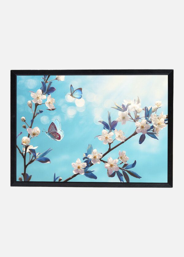 BUTTERFLIES WITH SPRING BLOSSOMS