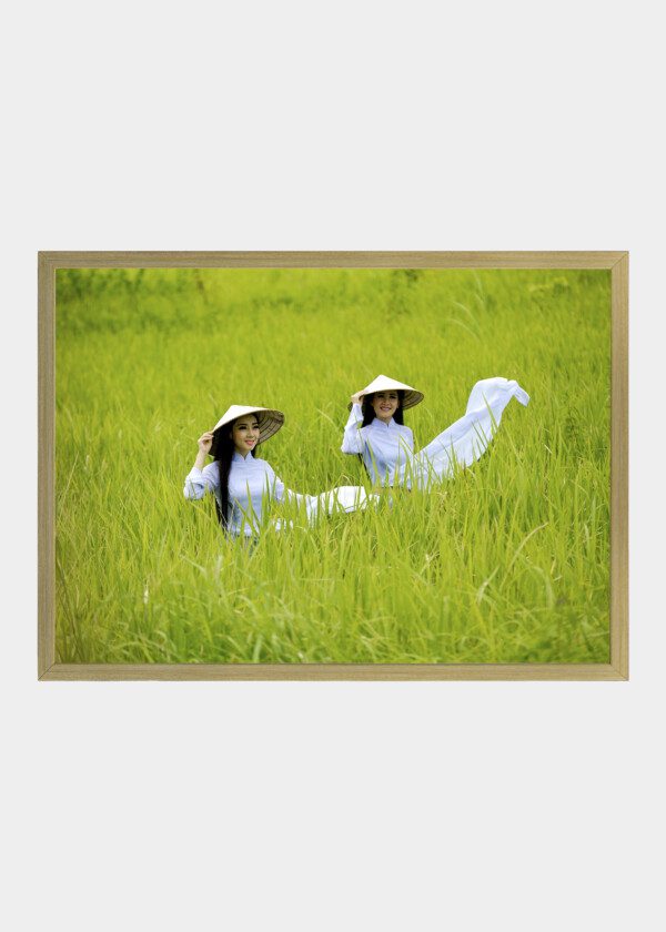 BEAUTIFUL WOMEN IN VIETNAM ON A GREEN FIELD