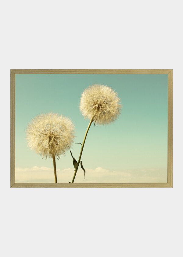 RETRO VINTAGE FLOWER
