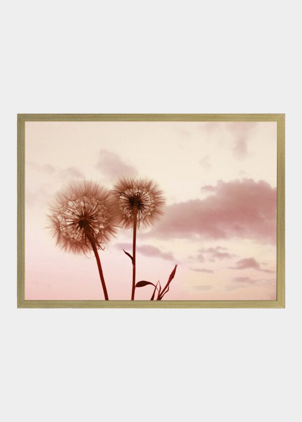 RETRO VINTAGE FLOWER