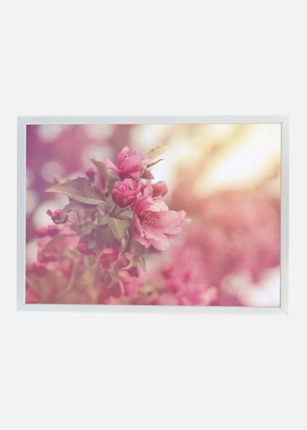 RETRO VINTAGE FLOWER