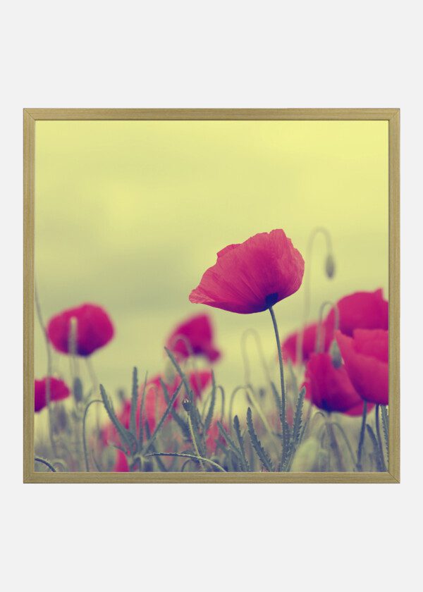 RETRO VINTAGE FLOWER