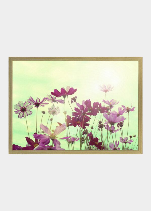 RETRO VINTAGE FLOWER