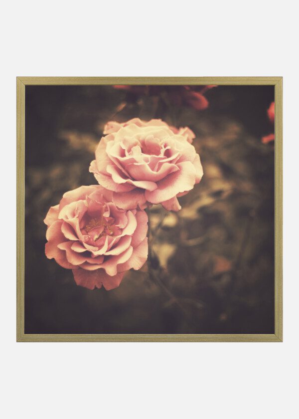 RETRO VINTAGE FLOWER