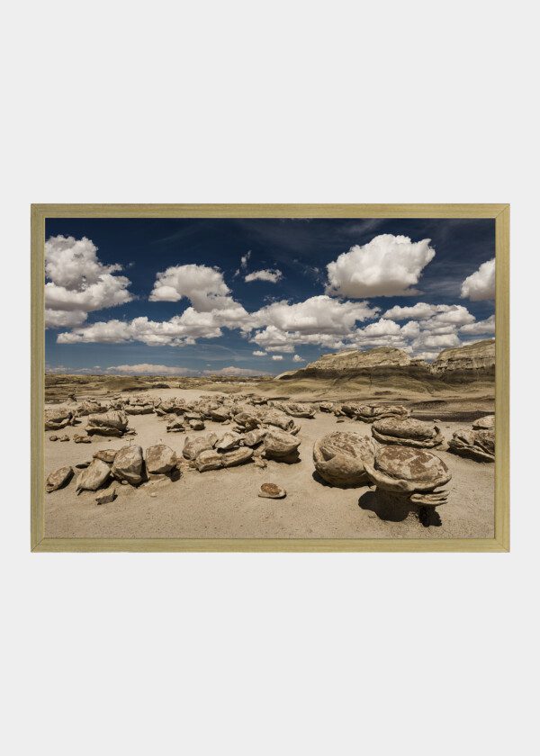 THE EGG GARDEN, OR CRACKED EGGS IN SAN JUAN COUNTY, NEW MEXICO