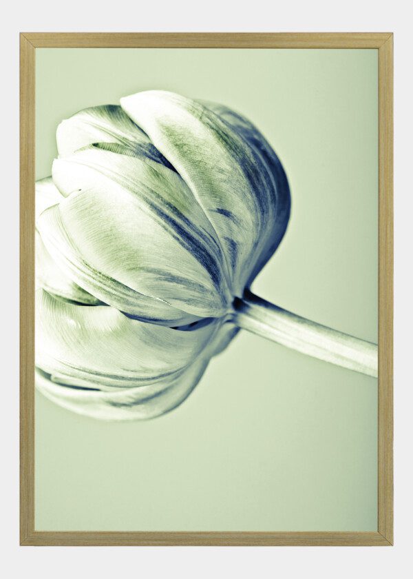 RETRO VINTAGE FLOWER