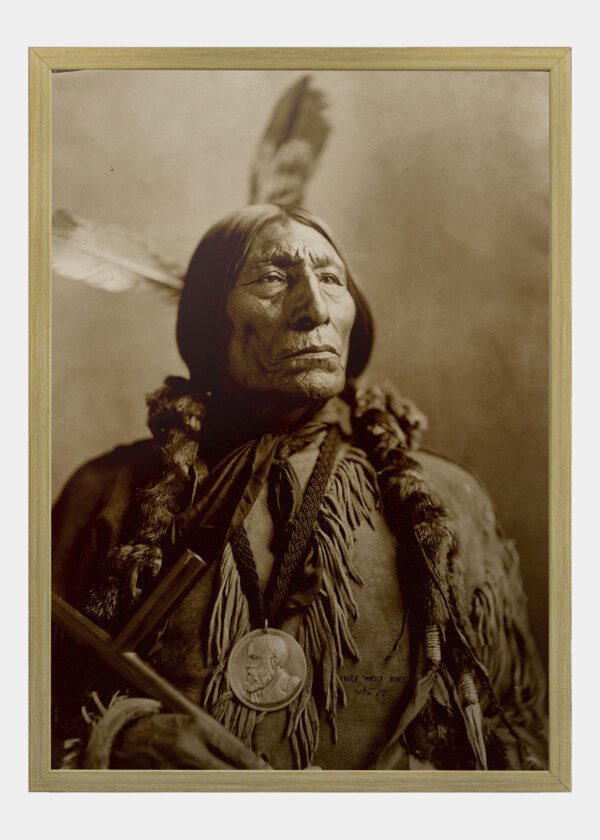 CHIEF WOLF ROBE 1904