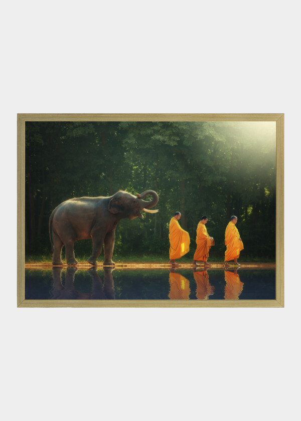 MONKS AND ELEPHANTS