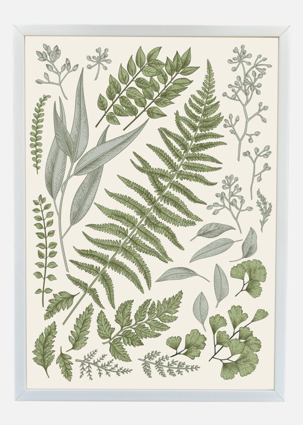 BOTANICAL