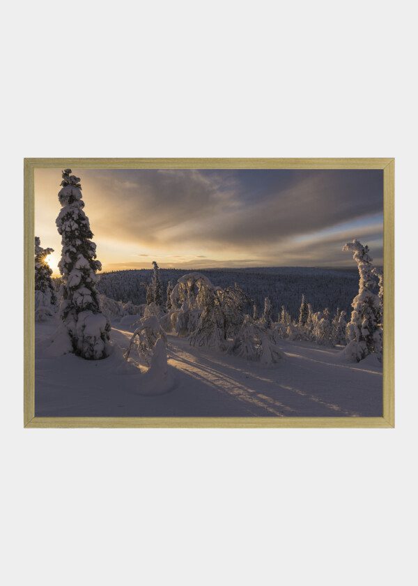 WINTER LANDSCAPE IN MORNING LIGHT, LAPLAND, SWEDEN