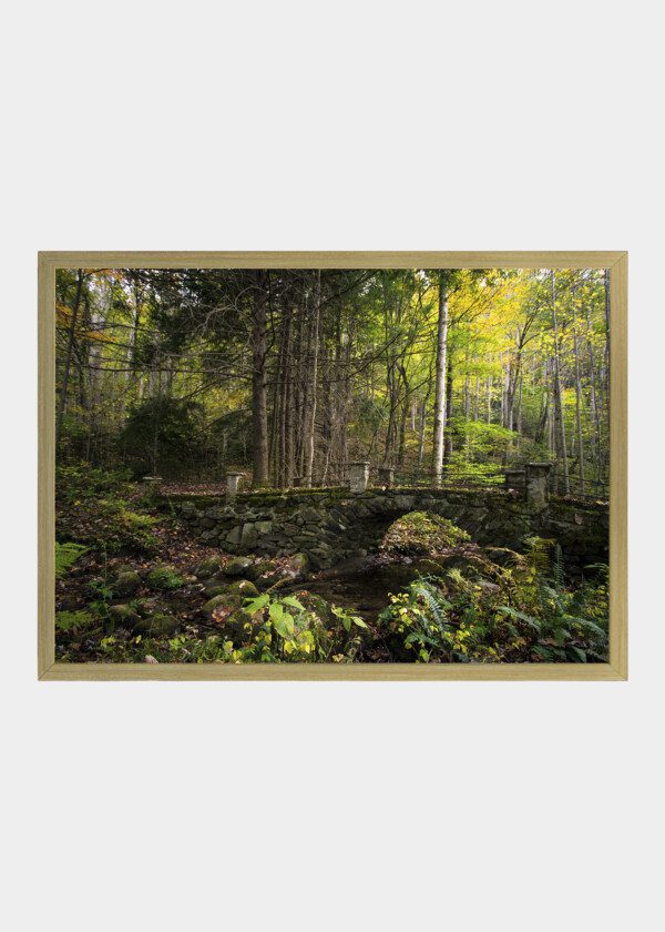 HISTORIC BRIDGE ABANDONED IN THE FORESTS OF THE SMOKY MOUNTAINS