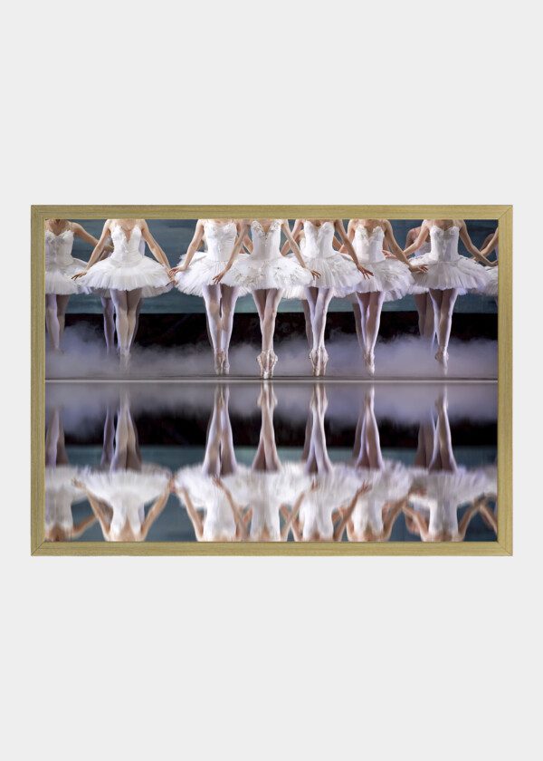 LEGS OF BALLERINA