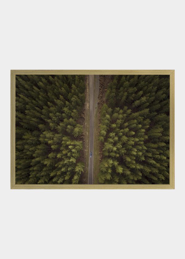 VIEW FROM ABOVE OF CAR DRIVING DOWN ROAD BETWEEN FOREST
