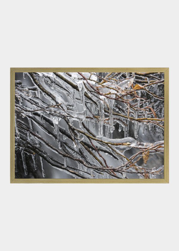 ICICLES IN A CREEK, LAPLAND, SWEDEN