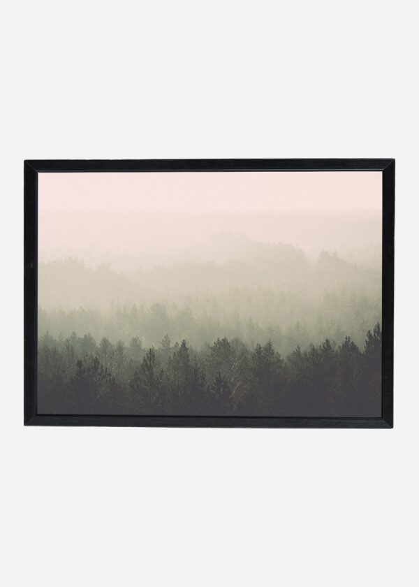 PANORAMIC VIEW OF MISTY FOREST. FAR HORIZON