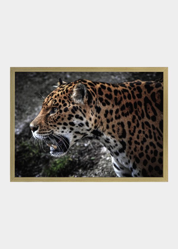 JAGUAR PORTRAIT