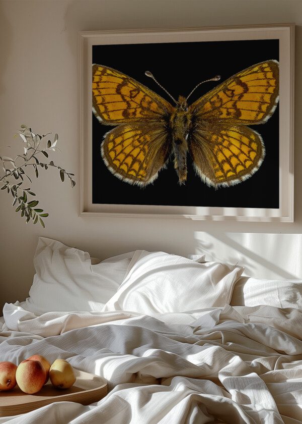 BUTTERFLY