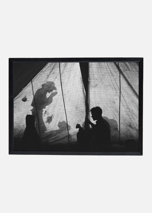 SHADOWS IN THE TENT