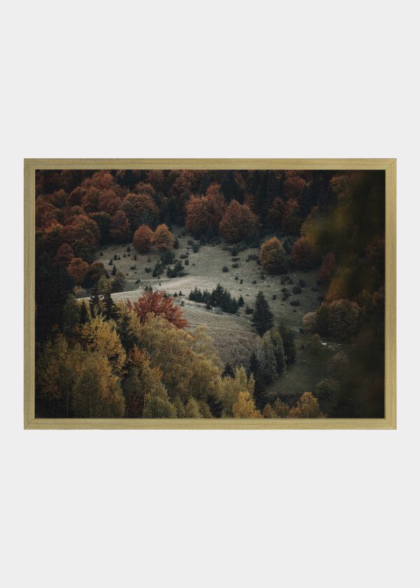 ROLLING LANDSCAPE