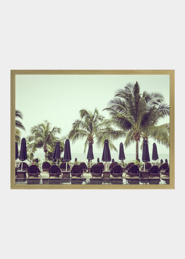 POOLSIDE WITH CHAIRS AND PALM TREES