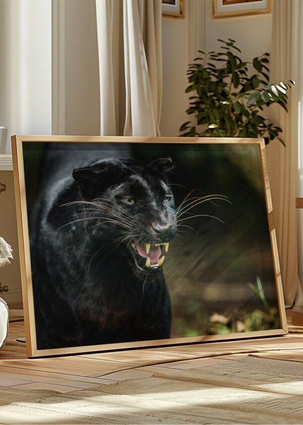 BLACK PANTHER IN THE JUNGLE