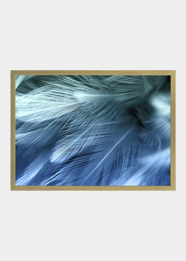 BLUE AND GREEN CHICKEN FEATHERS IN SOFT AND BLUR STYLE FOR THE BACKGROUND