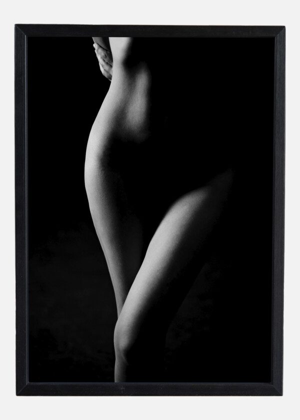 FASHION ART STUDIO PORTRAIT OF A NUDE ELEGANT LADY WITH SHADOW ON HER